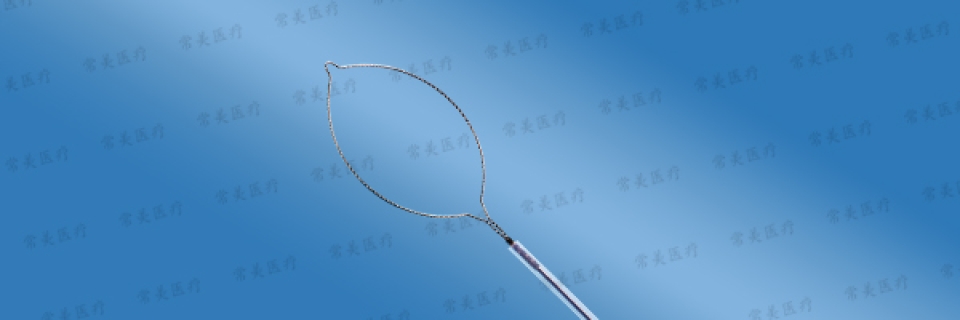 Changmei Disposable Polypectomy Snare