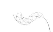 MicroPort NeuroHawk Intracranial Stent Retriever