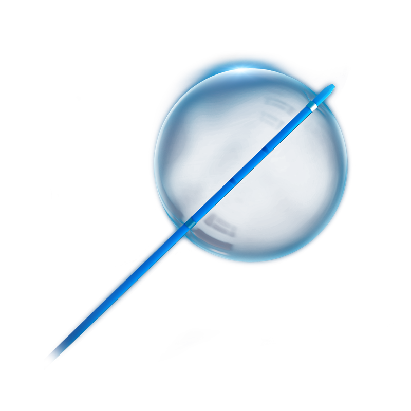 LifeTech Futhrough Aortic Stent-Graft Balloon Catheter